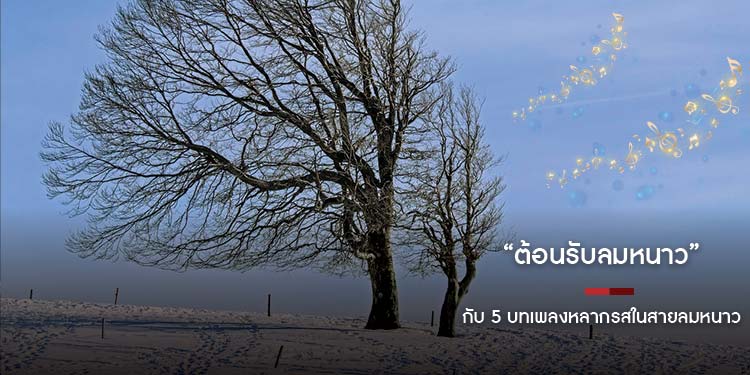 ต้อนรับลมหนาว กับ 5 บทเพลงหลากรสในสายลมหนาว